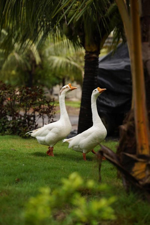 The Kerala Village, Shahapur Shenwa Exterior foto